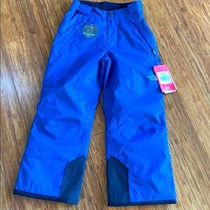 The North Face Blue Snow Pants